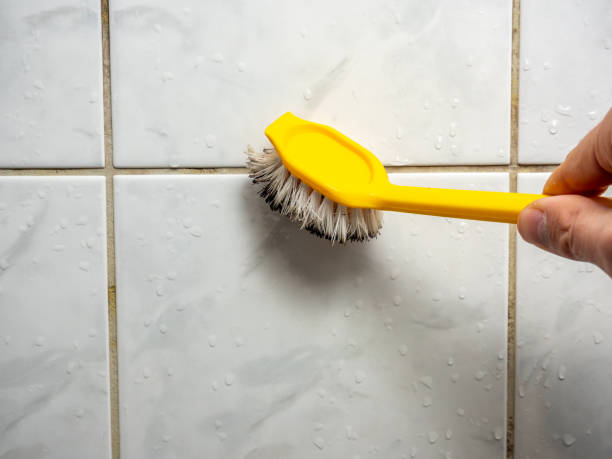 Best Toxic Mold Removal  in Berlin, MD