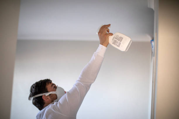 Best Black Mold Removal  in Berlin, MD